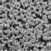 Silver Membrane Filters Silver Membrane Filters